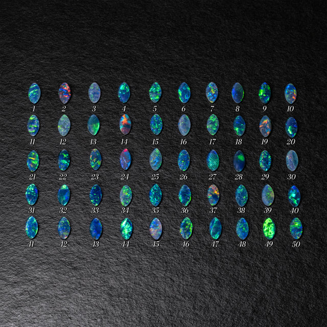 OPAL OCTOBER 2025