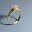 1ct Round Diamond Solitaire - WHIRL