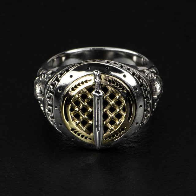 2024 Design Challenge Winner - GLADIUS