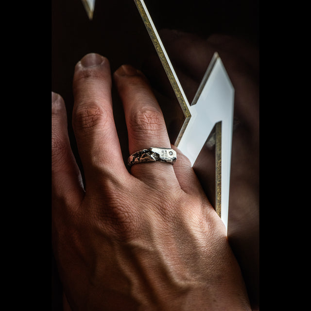 Precious Four Collection - Diamond In The Rough