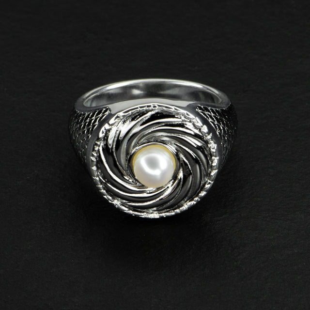 2025 Design Challenge Winner - EYE OF THE STORM