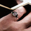 Precious Four Collection - REFRACTION