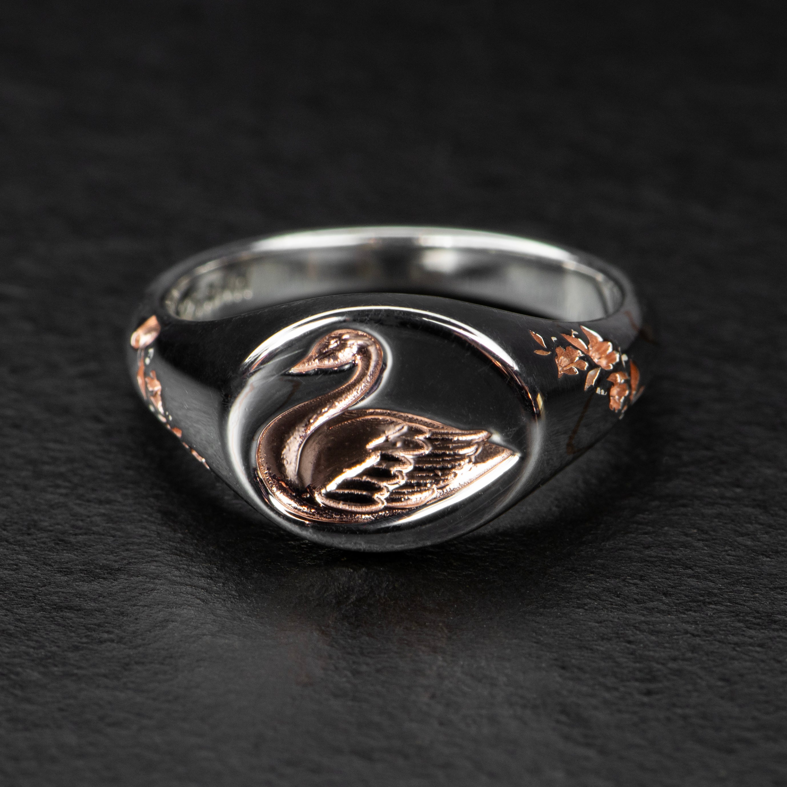 October Exclusive - CYGNET