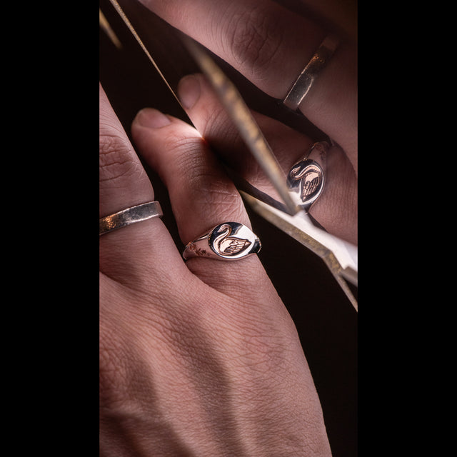 October Exclusive - CYGNET