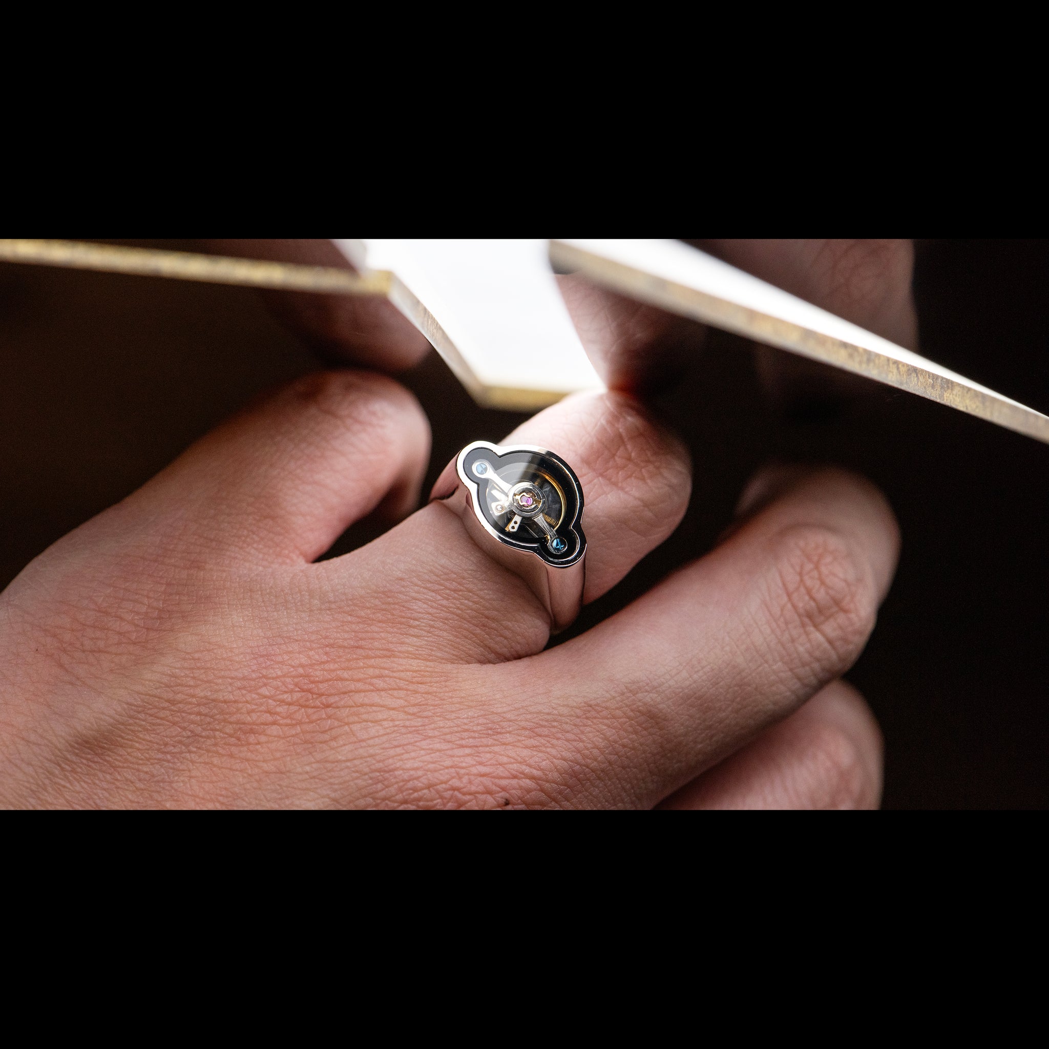 Spinner Signet - REGULATOR - AHW Studio