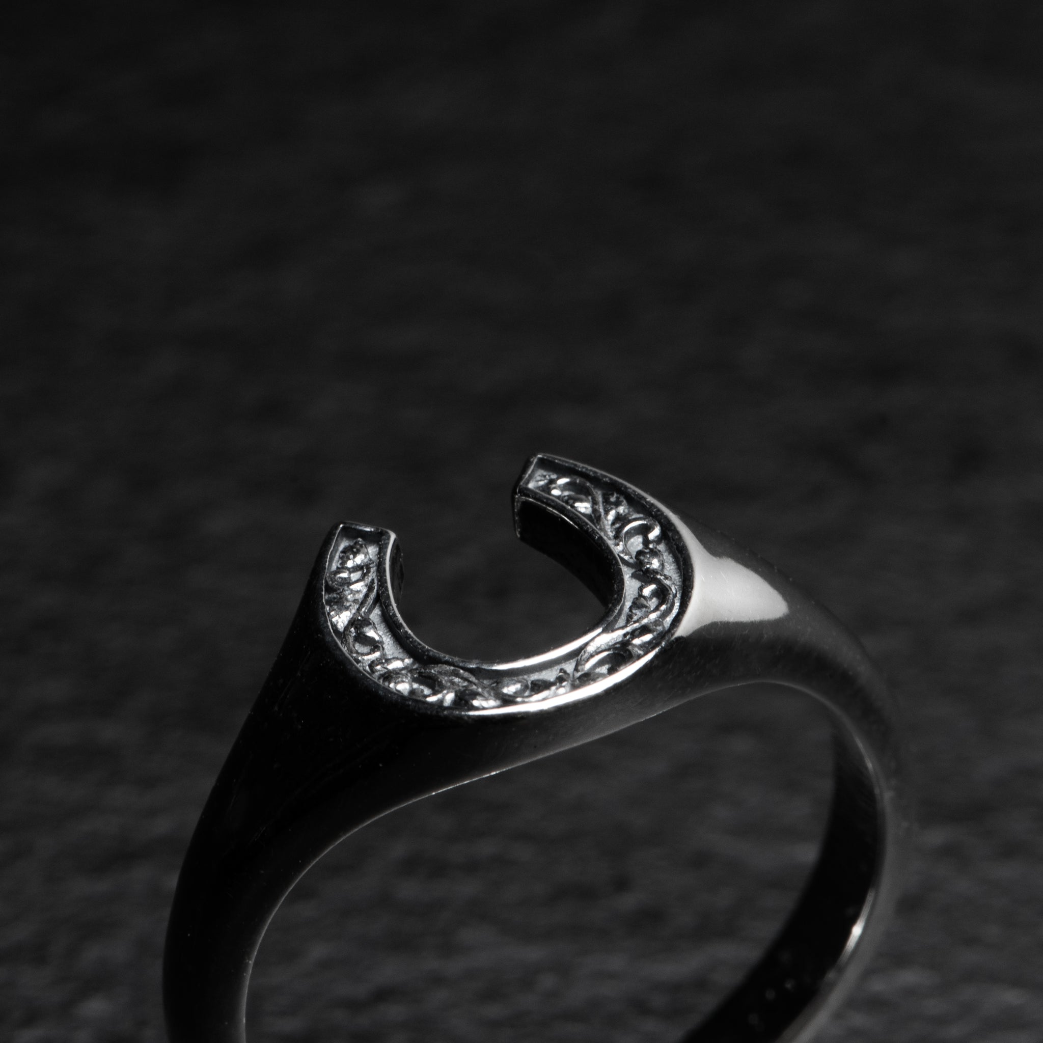 Horseshoe Signet - TOKEN - AHW Studio