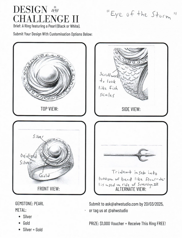 2025 Design Challenge Winner - EYE OF THE STORM